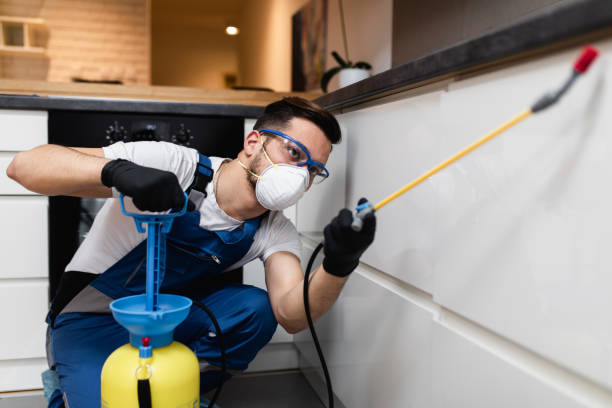 Best Bed Bug Extermination  in Carrington, ND