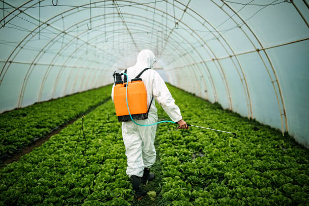 Pest Control for Restaurants in Carrington, ND